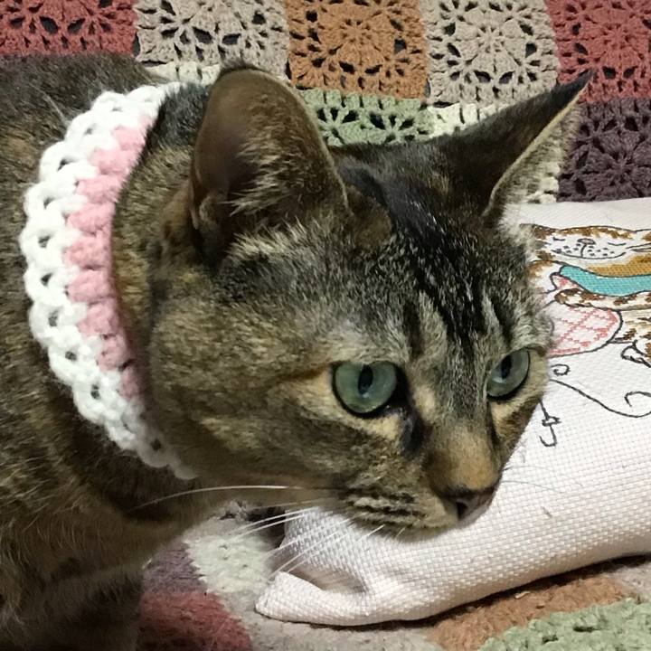 F795629e e4f0 47b5 b681 cd03ab5d6d5e 1740822060475