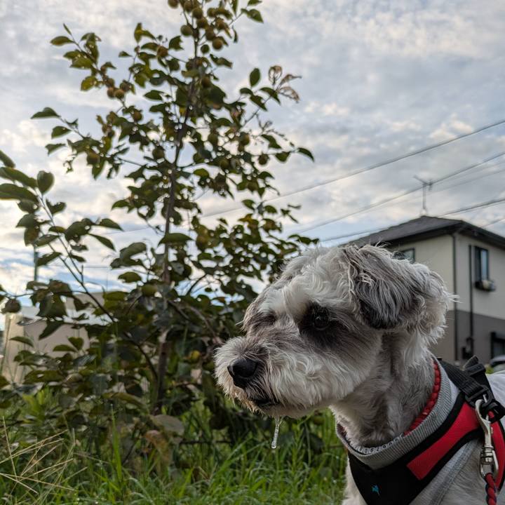 F795840b 4830 4f47 b9e1 7b32ac55fd25 1757650514415