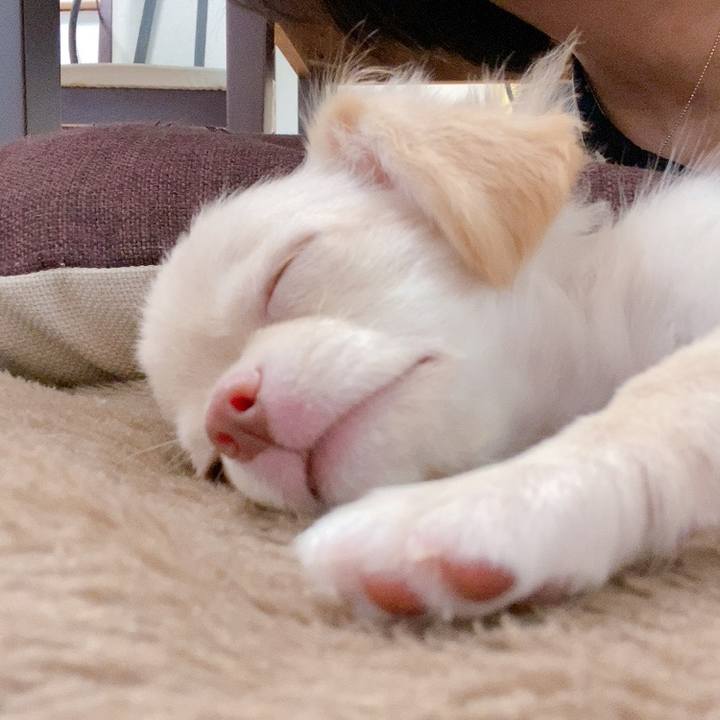 F795e330 39a1 4d04 af9b 243ed9847bca 1590967077727