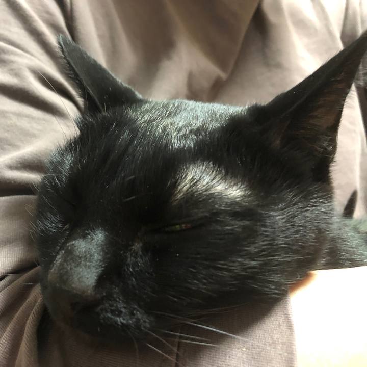 F7960c50 b0ad 4f1e 86eb 21b6e2e9c243 1706344544340