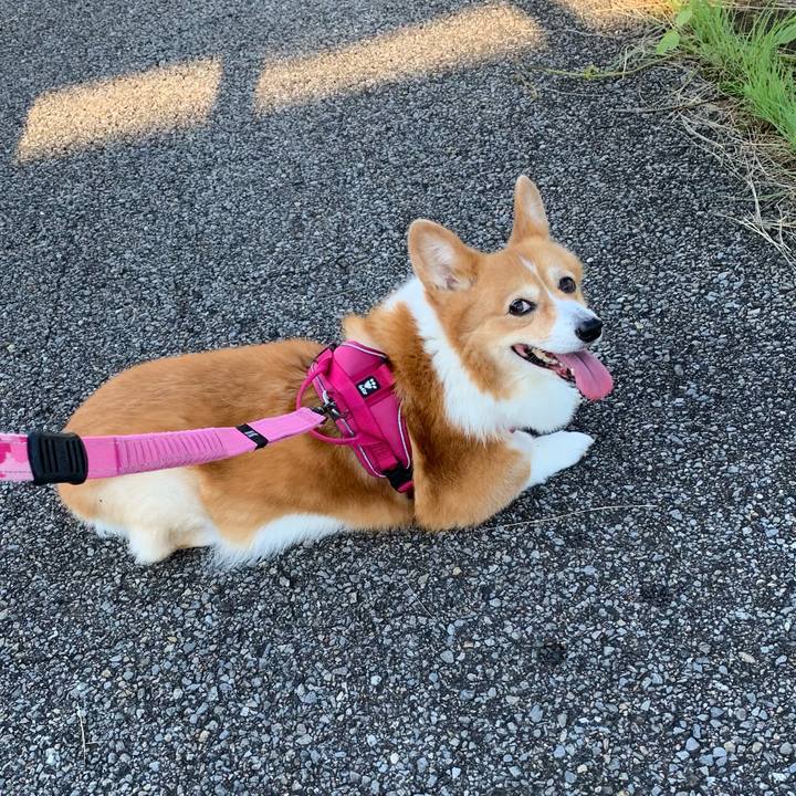 F7962aef 3658 4bf3 9bd7 618e1ca876a0 1721689305898