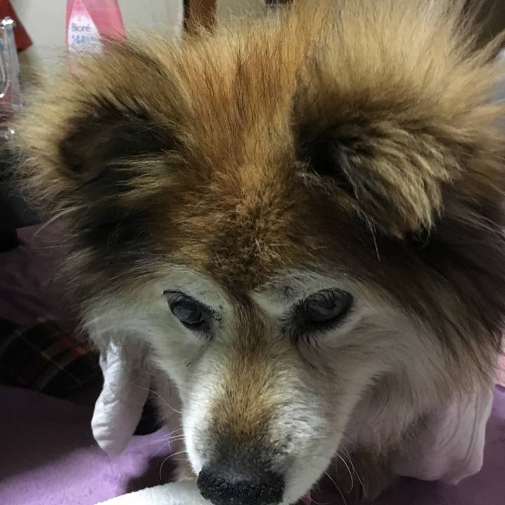 F7963e31 7eaf 4c30 98a7 b2e55d9105d8 1591499652908