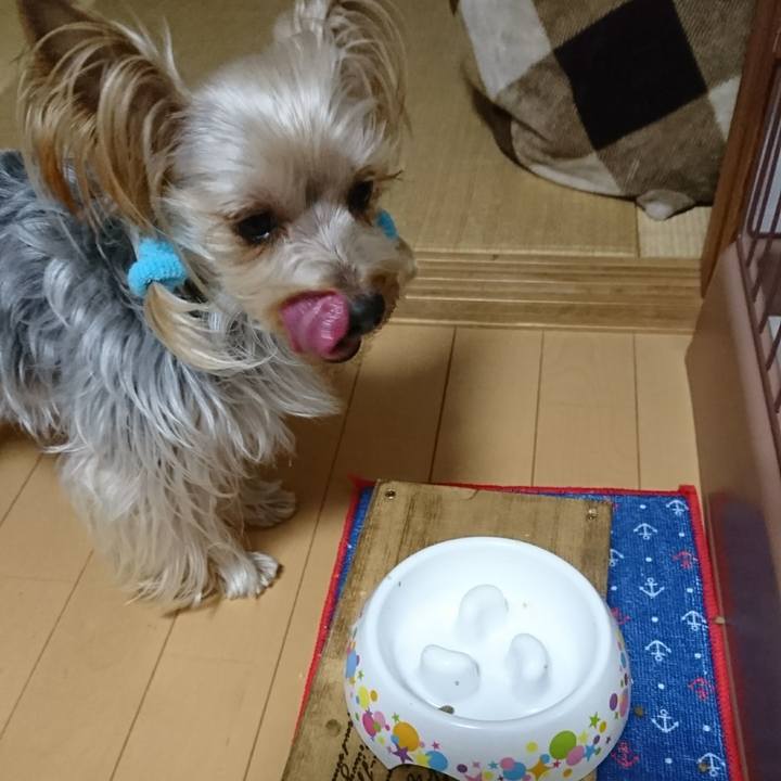 F7964390 cca2 48b5 b9de 502254a15592 1549185962380