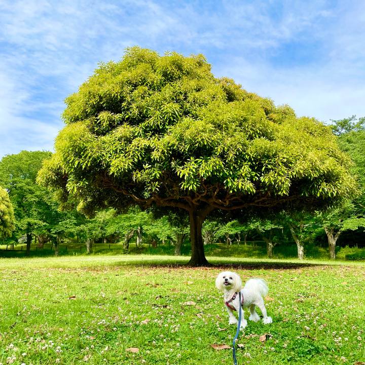 F7965848 3def 4f8a 868a a2aa7bce9416 1622432423349