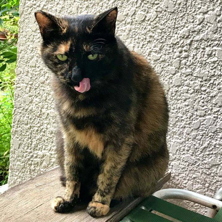 F796679d 48a3 4e55 a646 1c8cd660a6b7 1595153721604