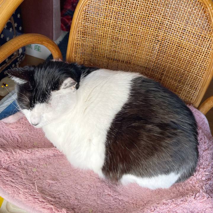 F796924f 564e 4a03 8dad 81ba6afc9d66 1769917919374