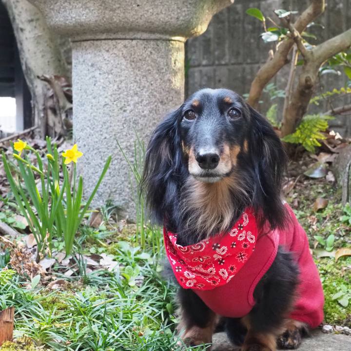 F796b663 1fc0 4b3d 8ec3 81f8c4a8a6a7 1647246610609