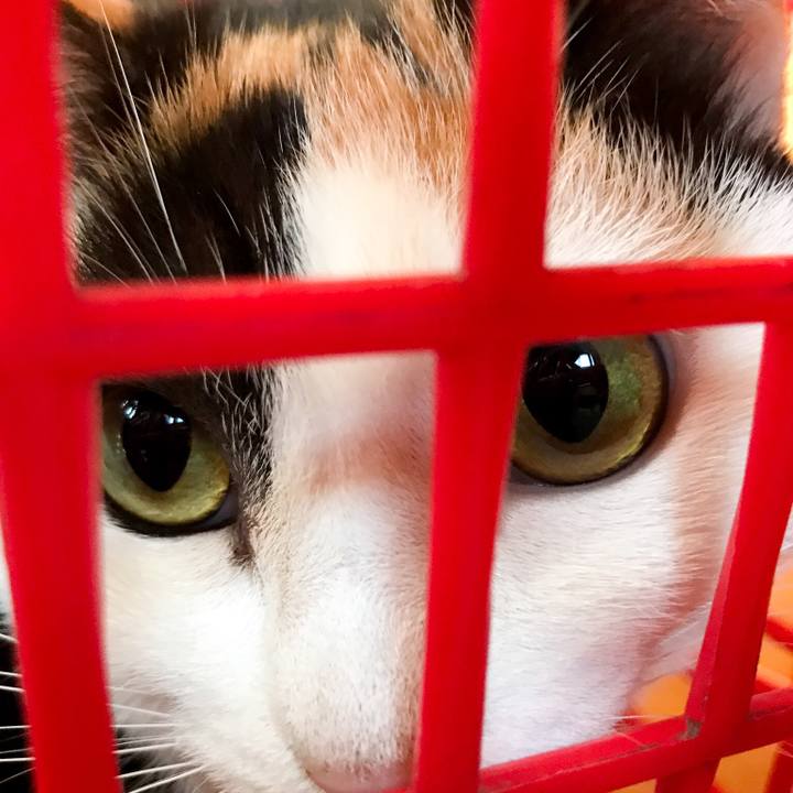 F796cd9f dfe1 49d3 b0f4 6aa6b2a3ad86 1516668657766