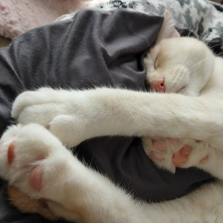 F796ecc3 172c 4caa 86c4 c0e5daddfcc3 1649825868607