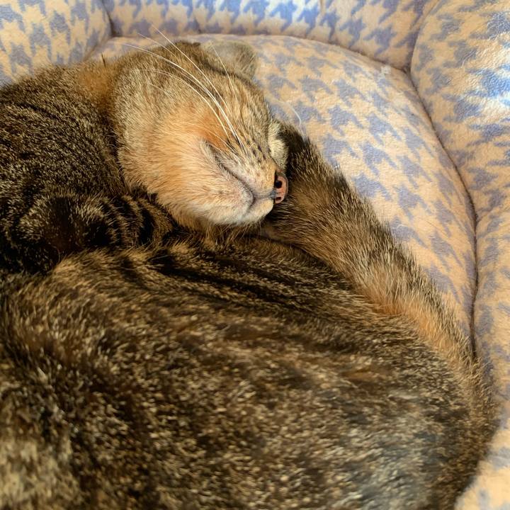 F796ee7d 110b 4d4d b238 56af662f0e73 1600650880737