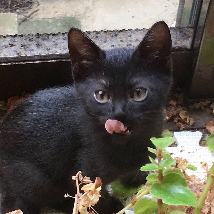 F79707fe f251 4643 b493 5f4be9d9584d 1625735420097