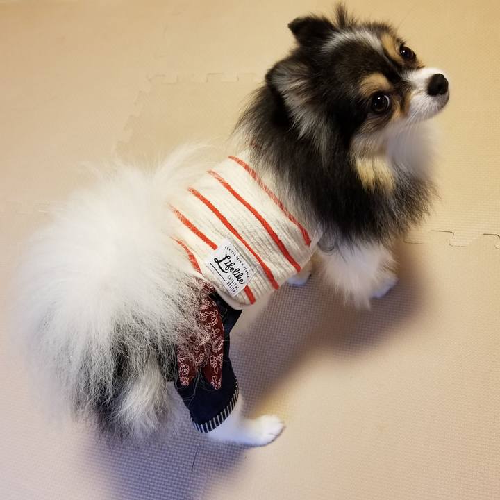 F7970820 ca9b 4615 8fd0 2d7764736936 1535893240058