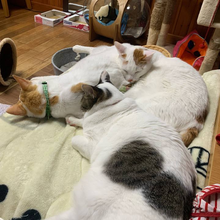 F7972cf9 b853 4865 90b8 201f22b8ba44 1582374118497