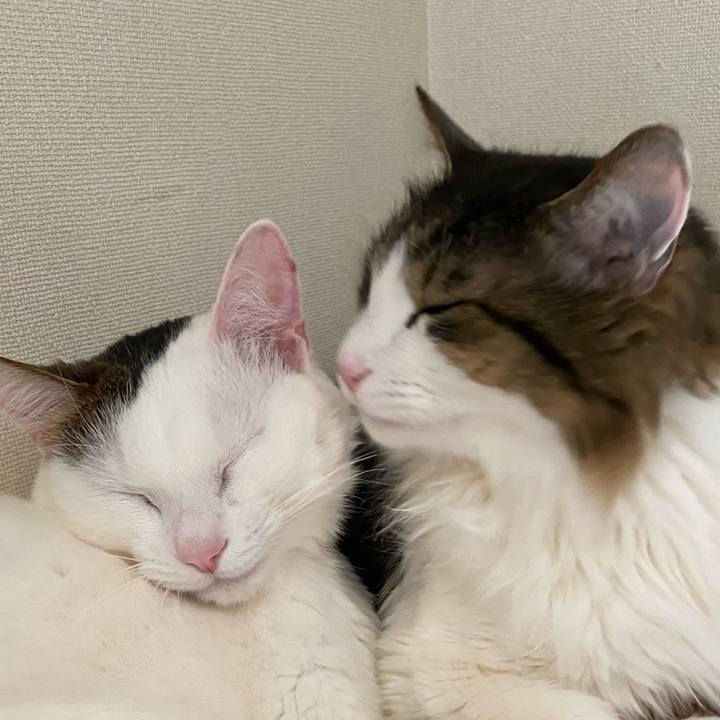 F797493e b40f 4a9f 8496 4ad97cd2a352 1614313201051