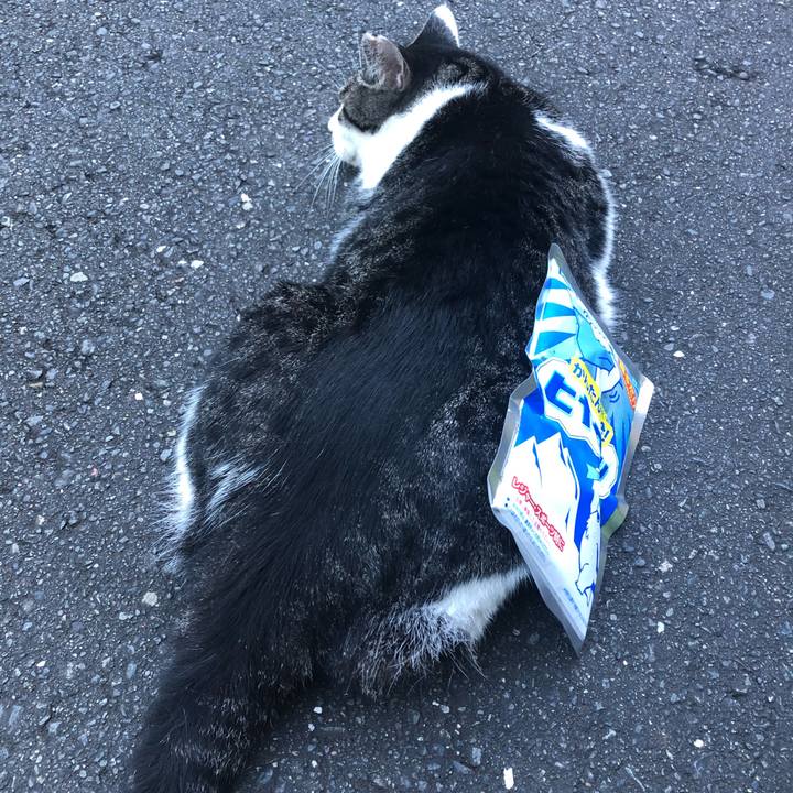 F7976e66 95e9 4080 82b6 c0160f825a6c 1598009615247