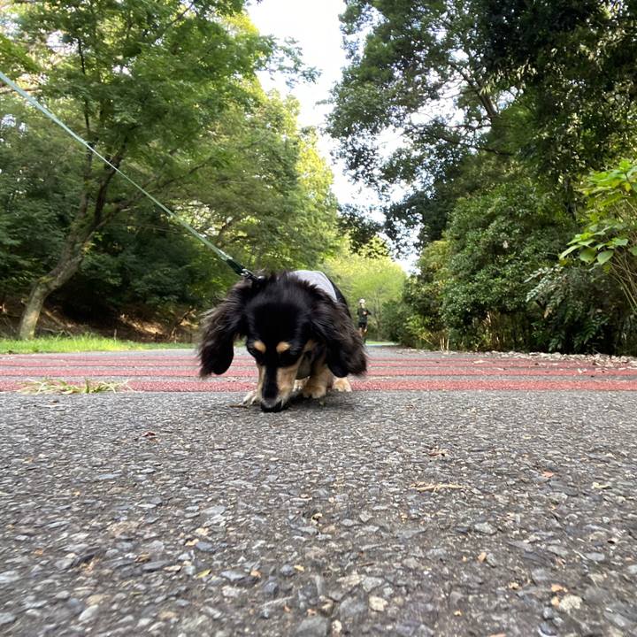 F7978f28 aed6 4cdc b9bb 468d630d45c3 1693441136722