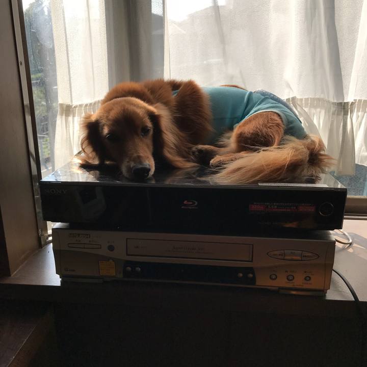 F7979350 c861 4d35 bb99 aa59fee3f54a 1510885158473