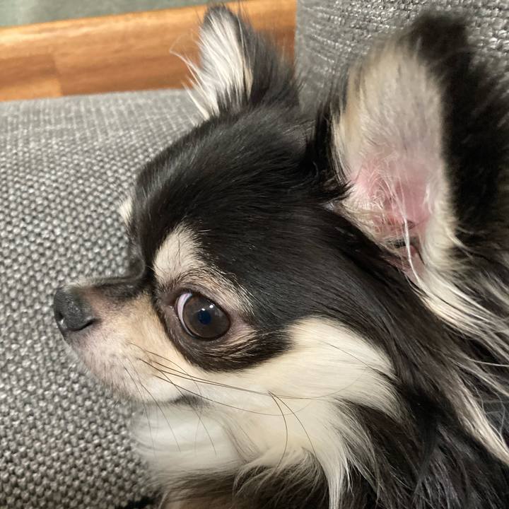 F797b1ba 3628 4faa 91f0 5ab110552dad 1607262097894