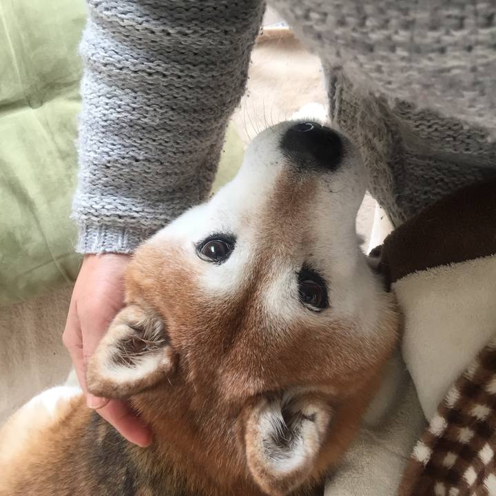 F797b3c7 953f 4bbc baf7 654e1343d15d 1549778559749