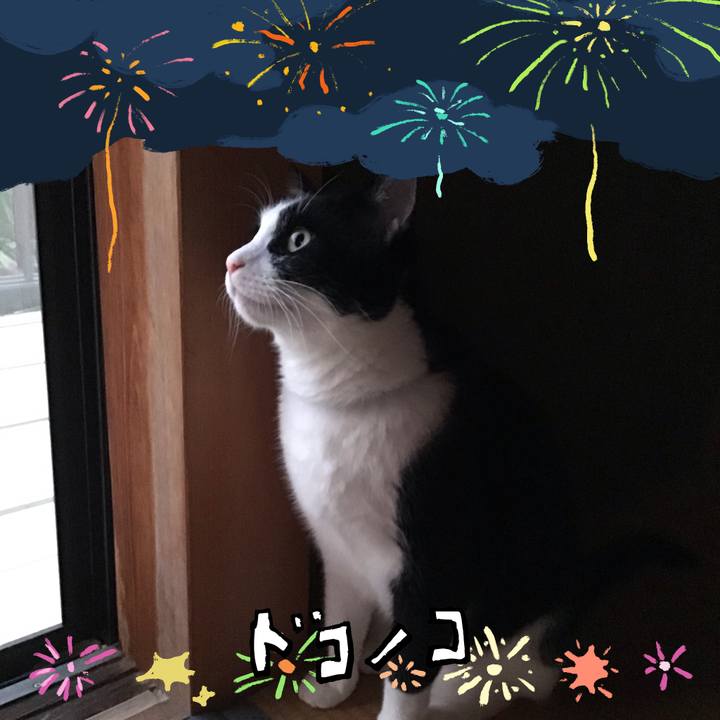 F79812b9 6493 4267 a3c6 953e637823e3 1723197657672