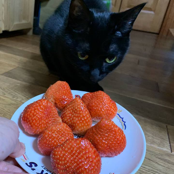 F7981f02 de10 4af1 8488 97b9d02fa4f6 1611838197046