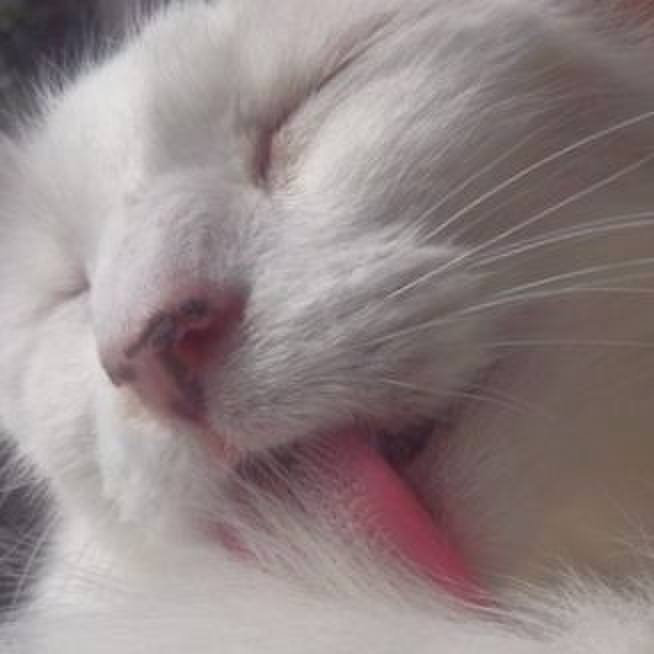 F798391a 7d16 4294 83e4 576de8070a56 1678055962931