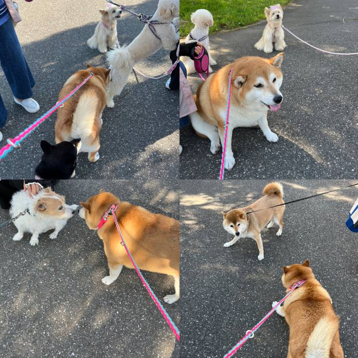 F7983df0 d12e 435e 88bc ea5055f8e49e 1653786790152