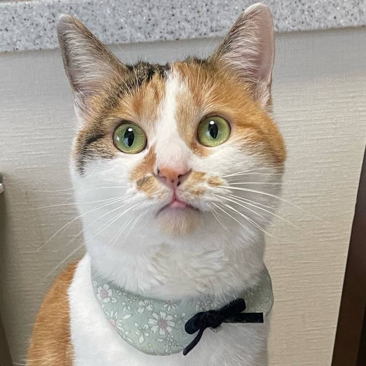 F7986880 cc39 4626 a1ce a724f8a24541 1674775958907