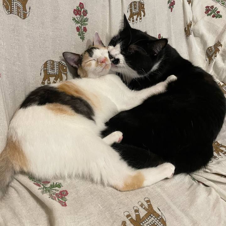 F798aa48 897c 47b6 a002 cec8031f1a98 1666002088681