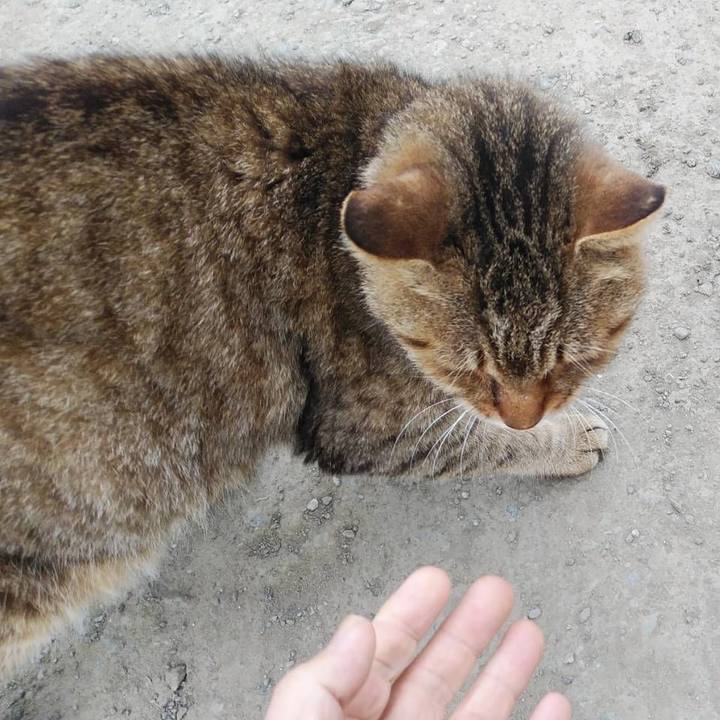 F798d9c8 a1e4 4b8c a6a5 3ccb175a5b54 1603758509515