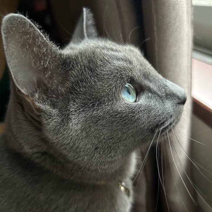 F798de67 48fe 4b1b b8ac f8cb33c7dd62 1700176728315