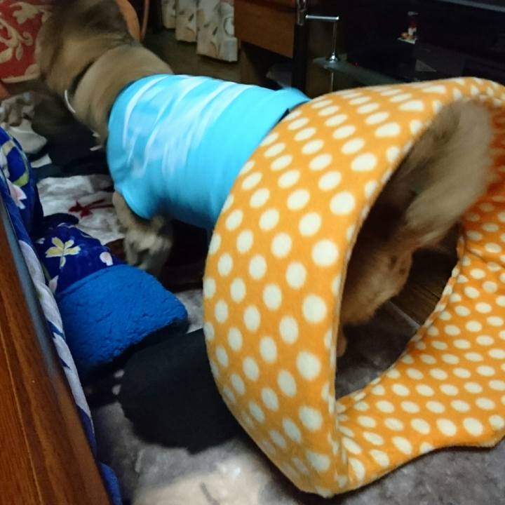 F7991bc3 5cdd 4984 8236 3102e7202cd8 1514545469958