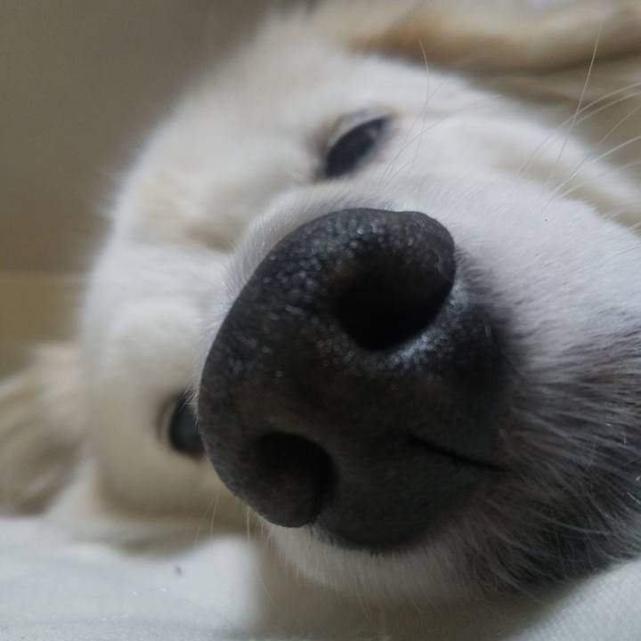 F7992e3d 0005 4cfe 84ac 6d29d69aee39 1638197529188