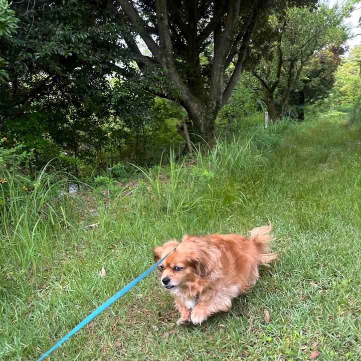 F7997f31 48a3 4c4c 8625 e28362aee786 1686172241972