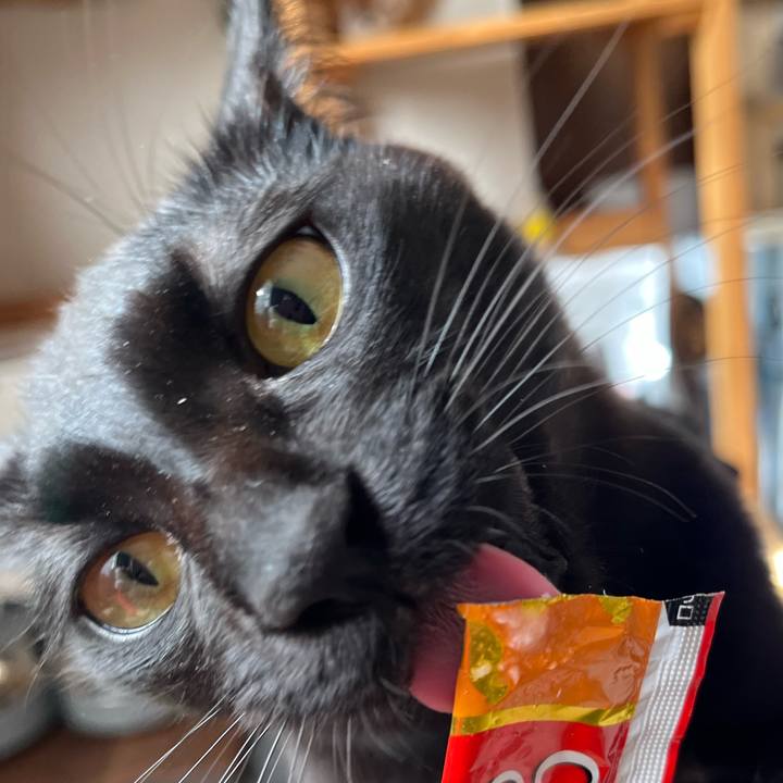 F79981b9 2bc4 4a71 ae18 03fed510f652 1763911056645