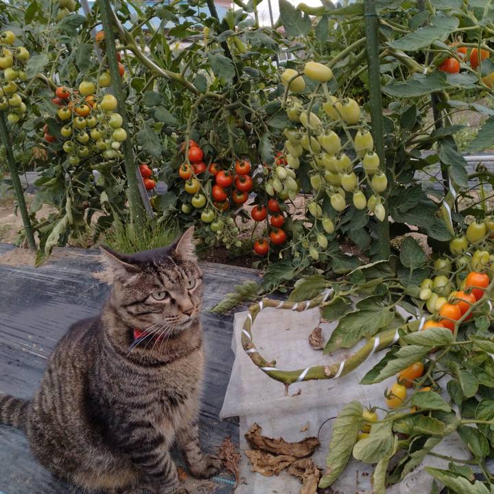 F799c669 7619 4e20 90c7 3b7d2688eaa8 1690972471326