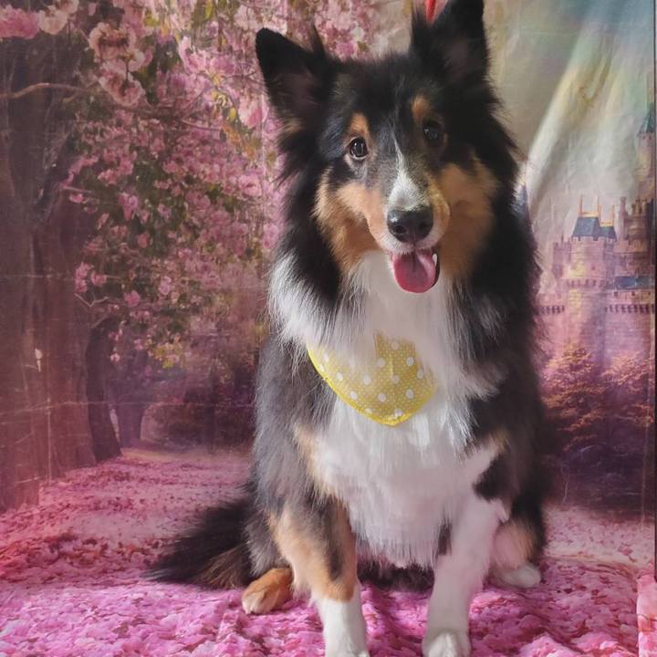 F79a00ec cbcf 44c8 8593 3943ffa304bc 1583616389166