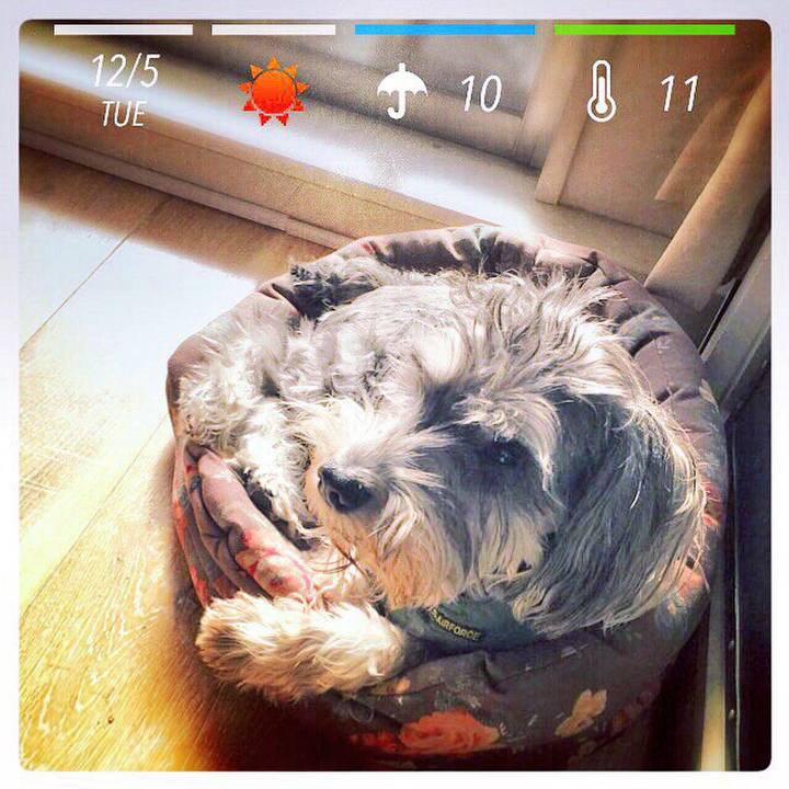 F79a0aa7 17fb 46f6 8289 ec9e688dd856 1512436221737