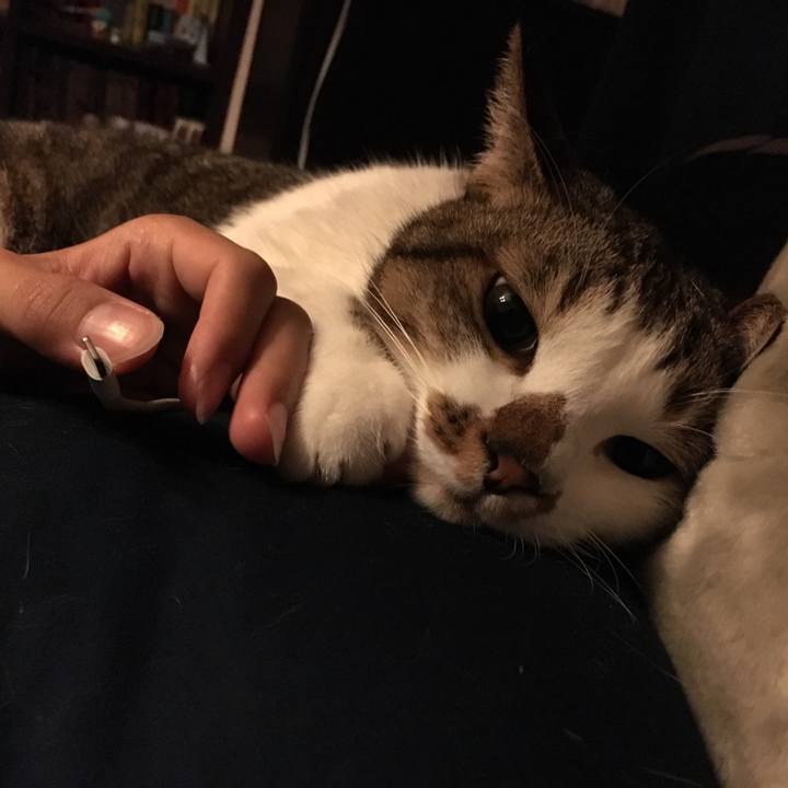 F79a24a3 a2f6 4771 9789 b21e03a4868f 1512996193100