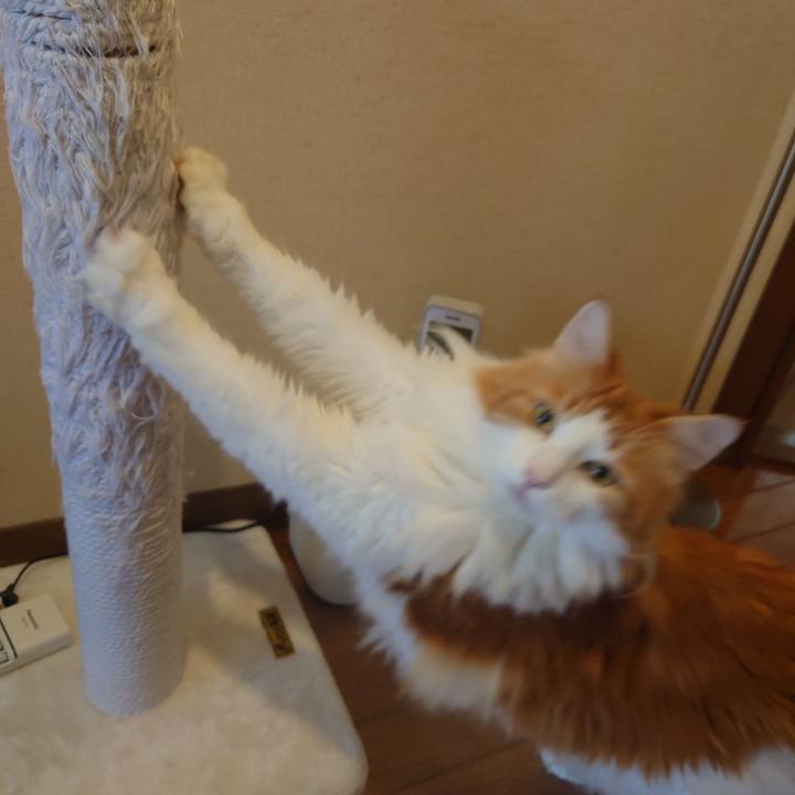 F79a3546 1834 4fdc af6e a05758006dff 1659969968383