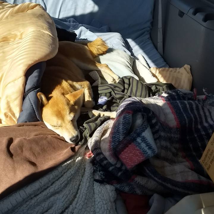 F79a63d4 9cd8 4434 9c1d 1fae62c19e51 1508296878831