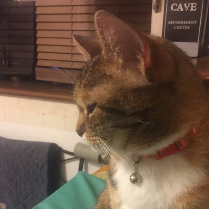 F79aaabe d3b1 458d 883e 55185e200722 1552664382101