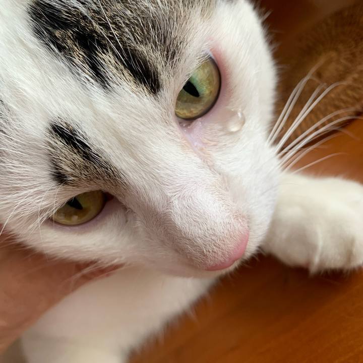 F79ab33a 0bd7 4e7a 87d5 edbec45569f4 1689321261131