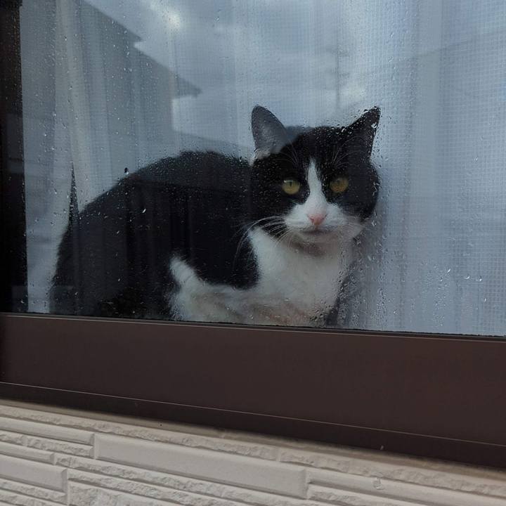 F79ac57b ac7c 47cf aa25 21e875f92f45 1703323864439