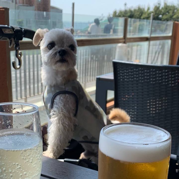 F79ad872 593f 4ba8 a725 340d550a7260 1652353911168