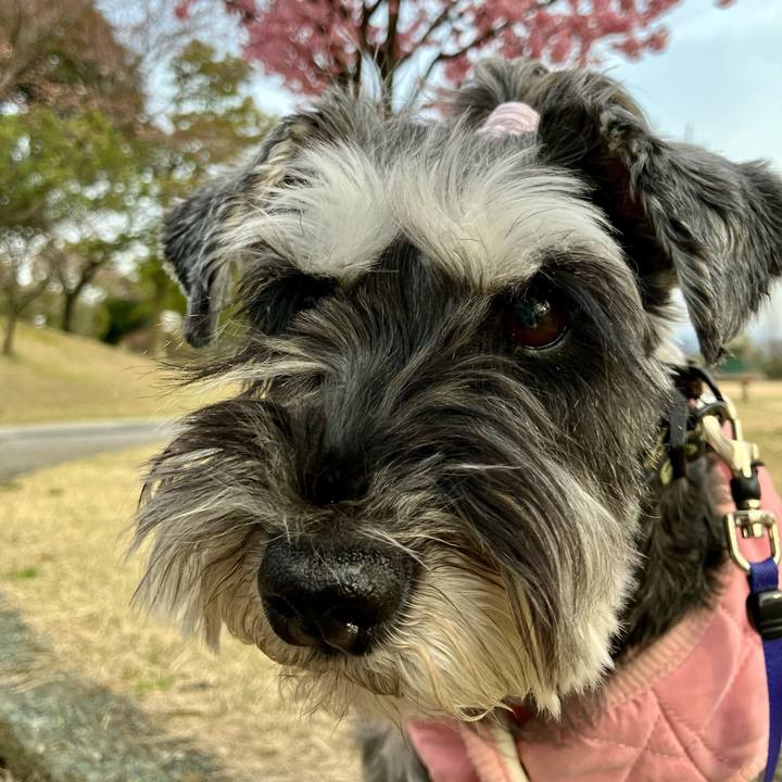 F79aeaa9 a8d0 4630 9524 e37a2896dc2e 1712842235198