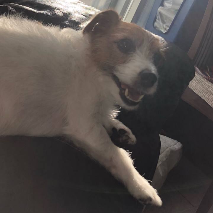 F79b091e 0833 4f6e a75c 0e07625d99a7 1570575188285