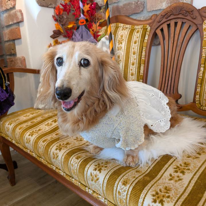 F79b4939 df52 43f4 947b 31dc7d712056 1758857818863