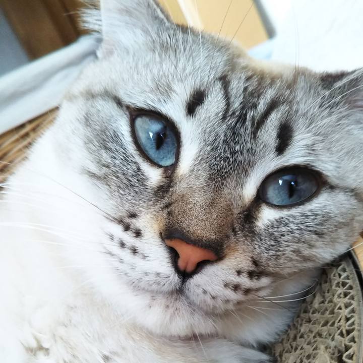 F79b7b53 5c1c 46be b562 03cf875e91f3 1604633577718