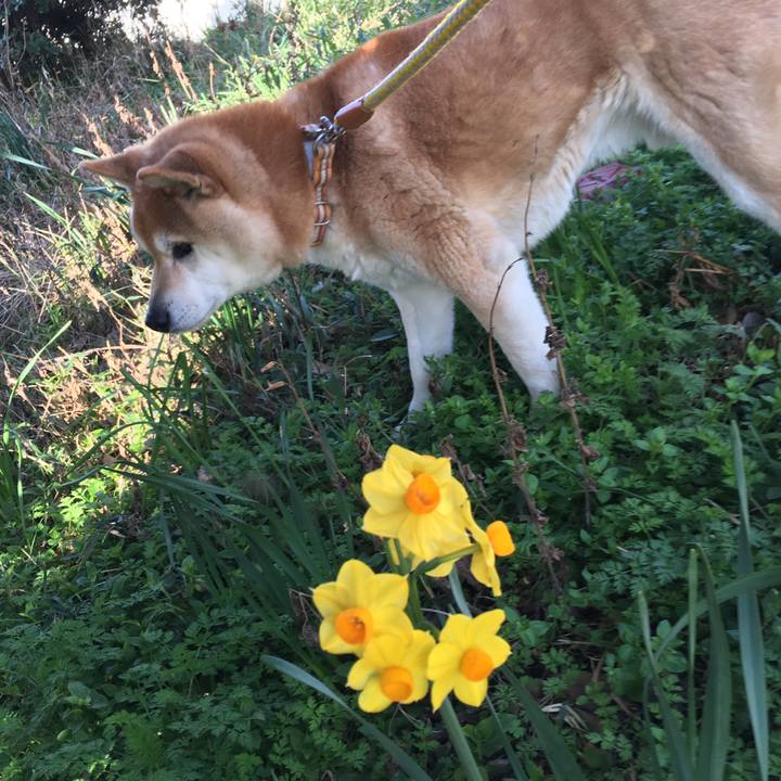 F79b8b20 a4d0 4f3a 9cde 0693d634c98f 1521260505909